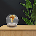 Miniatyrbild 2 av 3: 1 set Konserverad Blomma Glaskupa Dammtät Glaskupol Konserverad Blomkupa