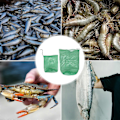 Miniatyrbillede 4 af 4: 4 stk. Fiskenet Mesh Poser Fang Fisk Mesh Pose Udendørs Fiskeredskaber Fiskegrej