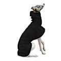 Miniatyrbild 3 av 5: Varm Hundjacka Vattentät Whippet-Kappa Vinter Justerbar Greyhound Kläder Vinter Varm Fleece Kläder Italiensk Greyhound Kläder pink S