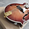 Miniatyrbild 4 av 5: Silver Mandolin Tre-delad Stallskruv För Mandolin 8 Loop-end Strängar 3-6 Strängar B