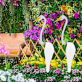 Miniatyrbilde 4 av 5: Swirl Bird Rosa Flamingo Dynamisk Fugl Lett Hagebris Fugl Vindkunstdekorasjoner For Terrasse Hage Utendørs Dam Basseng Fontene Red