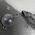 Miniatyrbilde 3 av 5: 26 stk/sett 5 Størrelser Fiskevekt Havfiske Blyform Splittet Hagle Hode Jigger Fiske Bly Søkke Vi