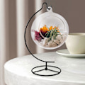 Miniatyrbild 2 av 4: Ornament Display Stativ Hållare Järn Hängande Krok Hållare Rack för Hängande Glasglob Luftväxt