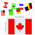 Miniatyrbillede 6 af 9: 2stk World Cup flag Bunting Bunting Qatar 2022 World Cup flag 1pc 9m