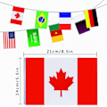 Miniatyrbillede 6 af 9: 2stk World Cup flag Bunting Bunting Qatar 2022 World Cup flag 2pcs 9m