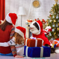 Miniatyrbillede 5 af 7: Varmt kæledyrstøj Julefrakke kæledyrstøj med julemand red extra large