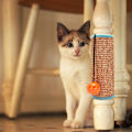 Miniatyrbild 9 av 10: Cat Scratcher Sisal Mat Board Cat Scratch Claw Sharpener circle blacket 24.5*831.5cm