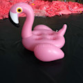 Pikkukuva 5 / 7: 4-reikäinen puhallettava vaaleanpunainen flamingo-juomapidike allaskelluke pink 70*60cm