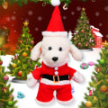 Miniatyrbillede 2 af 8: Hund Kat Julebomuldskostumer Sjovt julemandskostume red medium