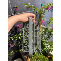 Miniatyrbillede 8 af 10: Universal bestik Opvaskemaskine Kurv dele 23.1 x 12.4 x 13.1 cm