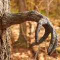 Miniatyrbillede 5 af 7: Creative Bark Ghost Facial Tree Bark Outdoor Garden Statue wood color