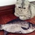 Miniatyrbild 4 av 6: Pennväska Karp Pennväska Realistisk fiskform sminkpåse Case med dragkedja bak black