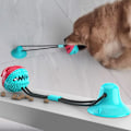 Miniatyrbillede 4 af 6: Hundelegetøj Silicon Sugekop Tug Interaktiv Hundebold Legetøj til Pet Chew Bite red yuan