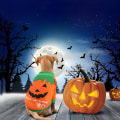 Pikkukuva 1 / 7: Lemmikkieläinten vaatteet Halloween Carnival Hauskat lemmikkieläinten vaatteet talvitakki orange extra large