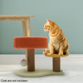 Miniatyrbild 5 av 6: Kattklätterställning, kattsand, kattträd, katt i flera lager