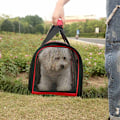 Miniatyrbild 4 av 4: Fyrsidigt Mesh Cat Dog Carrier Bag Color Bar som andas