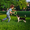 Miniatyrbild 3 av 5: Hundfrisbee, frisbee hundleksaksring som flyter i vatten utomhus