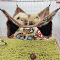 Miniatyrbild 9 av 11: Fåglar Hängmatta Plysch Hängande Hus mådjur Ekorre 2 Layer Hammock Beds null - 3 null - 3 S