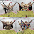 Miniatyrbild 2 av 11: Fåglar Hängmatta Plysch Hängande Hus mådjur Ekorre 2 Layer Hammock Beds null - 3 null - 3 S
