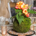 Miniatyrbillede 3 af 5: 2 stk Kuglemos Urtepotter Plantekasse Bonsai Have Decor