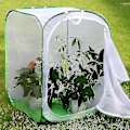 Miniatyrbilde 3 av 3: stort sammenleggbart burterrarium for sommerfuglhabitat, insekt- og sommerfuglnett for avlsarbeid null null none