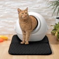 Miniatyrbild 5 av 8: Effektiv kattsandsmatta för rent och hygieniskt hem Svart
