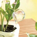 Miniatyrbild 4 av 9: Smart bevattningskulor för fuktiga krukväxter - 8 st, PVC Transparent