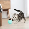 Miniatyrbild 2 av 3: Smart Kattleksak: Aktiv, USB-Laddning, 3 Program Grön