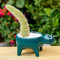 Miniatyrbillede 4 af 5: Sukkulente Planter i 2 Farver Keramisk Kat, Dekorativ Keramisk Blomsterkrukke med Dræn