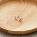 Pikkukuva 3 / 6: Daisy-korvakorut, joissa on Zircondia®-kristalleja