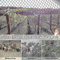 Miniatyrbilde 5 av 5: Tungt anti-fuglenett Netting Net Hagegjerde og avlinger Beskyttende gjerde Mesh Anti Fugl Hjort Katt Hund Kylling