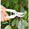 Miniatyrbillede 6 af 6: Havesaks, beskæresaks og beskæringssaks med sikkerhedslåseanordning, bypass-beskærere til haveplanter, blomster, frugter, grene, elfenben