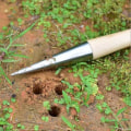 Miniatyrbilde 3 av 5: Hagepuncher Dibber Jordstansingsfrøplanteplanter Såverktøy Pæreplanter Rustfritt Stål Med Håndtak Hage Dibber(1 stk, Trefarge)