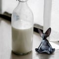 Pikkukuva 3 / 5: Sfinksin kissa meditoi, ajatteleva kissapatsas, meditoiva ajatteleva kissa, sfinksin karvaton kissa meditaatiokaulus