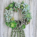 Miniatyrbillede 5 af 5: 4 stk. kunstige hængende sukkulenter Faux Burro's Tail Picks Trailing String Of Pearls Sukkulenter Falsk Greenery Blomsterarrangement