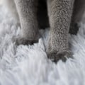 Miniatyrbilde 6 av 6: Pelseselvvarmende kattesengmatte for katter små hunder, funksjon 2 i 1 mykt plysjteppe for innendørs katter hunder fluffy kjæledyrseng (grå)