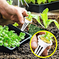 Miniatyrbild 3 av 5: 50-pack odlingskorgar ersättning för hydroponiskt odlingssystem frökapselkorgar för inomhusträdgård
