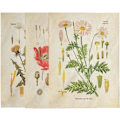 Miniatyrbild 5 av 5: 3 st blommor gobeläng väggdekoration vildblomma växt blommig gobeläng diagram liten gobeläng för sovrum vardagsrum