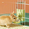 Miniatyrbilde 1 av 5: Kaninvannflaske, 600 ml Hengende Automatisk Vanndispenser Med Gravitasjonsflyt For Kanin Chinchilla Marsvin Ilder [Db] Green