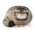 Miniatyrbillede 1 af 5: Plys Legempude, Pallas Plys Pude, Søde Steppe Fyldte Dyr Bløde Plysdyr [DB] As Shown