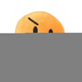 Pikkukuva 1 / 5: DB Taistelu unelmasaaresta pehmolelu, bfdi Kukka Pisara Tulisoihtu ja Lehti Täytetty nukke pojalle ja tytölle lahja Gold Coin
