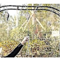 Miniatyrbild 2 av 4: 2 st Infällbara Växtrullar Justerbar Växthängare Hängande Blomkorg Krok Hängare För Trädgårdskorgar Krukor Och Fågelmatare I Olika [db]