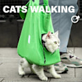 Miniatyrbild 2 av 5: Petm Katt Tote Bag, Djurväska, Katt Tote Bag Bärsele, Katt Promenad Väska, Katt Tote Bag Bärsele Walker Benhål, Multifunktionell Djur Ryggsäck [DB] Green