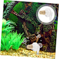 Miniatyrbillede 2 af 5: 10 stk. iltpumpe luftdiffusor akryl fiskebeholder luftbeslag fiskebeholder luftboblediffusor dekoration