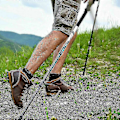 Miniatyrbillede 4 af 4: 20 Stk. / 10 Par Asfalt Gummi Buffere X-4gt Til Alle Almindelige Nordic Walking Stave - Vandrestave db