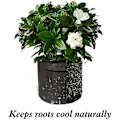 Pikkukuva 3 / 5: WHWY 3 Pack Smart Pots Fabric Grow Bags for Plants with Handles Bundle 3 Gallon - PVN8[DB]