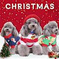 Miniatyrbillede 2 af 5: Hat & Forvandlings Jumpsuit Sæt Til Hunde Halloween Fest Kæledyr Hund Sweatshirt [DB] Christmas set S