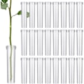 Miniatyrbillede 1 af 5: Pakke med 100 Blomsterrør Blomstervandrør med Hætter Genanvendelige og Holdbare Reagensglas Gennemsigtige [db]