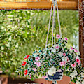 Miniatyrbild 5 av 5: Db 6 st hängande korg, hängande korg, blomkruka hängande växtkruka