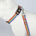 Miniatyrbillede 3 af 5: Dog Pride Mode Tilbehør, Regnbueflag Hundehalsbånd med Ikke-absorberende Materiale til Aktive Kæledyr, Drejelig Bolt Snap Tilbyder Sikkerhed og E [DB]